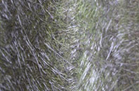 Torphichen fibreglass roof work